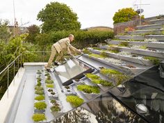 a man standing on top of a roof next to plants