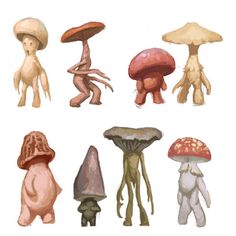 several different types of mushrooms are shown in this drawing, and each mushroom has its own individual body