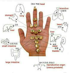 Reflexology Pressure Points, Pressure Point Therapy, Cupping Therapy, Medical School Essentials