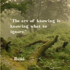 the art of knowing is known what to ignore rumi