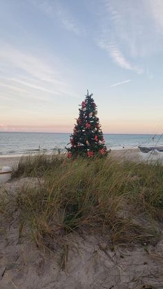 a small christmas tree on the beach with boats in the water and sand dunes around it