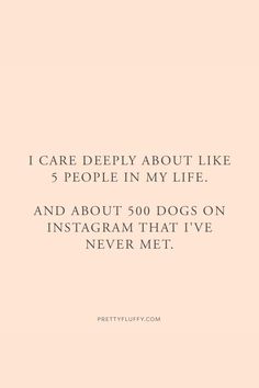 a pink background with the words care deeply about like 5 people in my life and about 500 dogs on instagram that i've never met