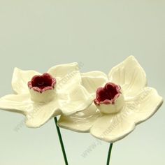 two white ceramic flowers with red centers in a glass vase on a gray table top