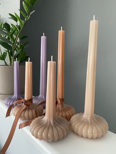 candles are lined up on a shelf next to a potted plant