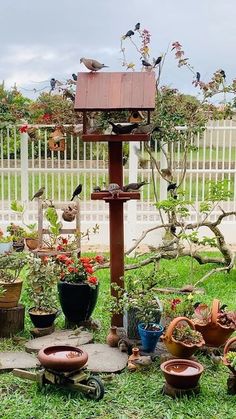 a bird house is surrounded by potted plants and other things in the yard outside