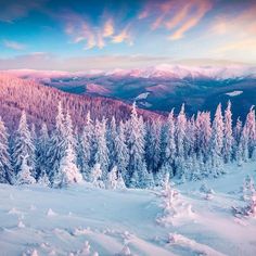 snow covered trees and mountains under a colorful sky