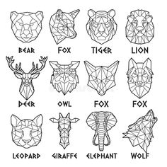 geometric polygonal animals and their names