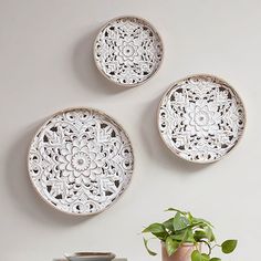 three decorative white plates are hanging on the wall above a potted plant and vase