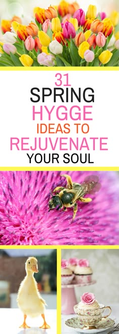 31 Spring Hygge Ideas to Rejuvenate Your Soul Spring Hygge Ideas, Hygge Spring, Hygge Tips, Hygge Ideas, Hygge Inspiration, Hygge Lifestyle