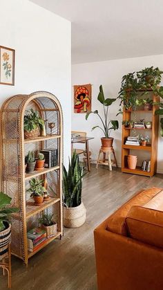 a living room filled with furniture and lots of plants