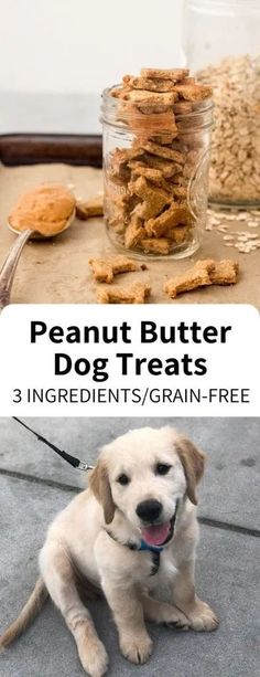 peanut butter dog treats in a jar and on the ground with text overlay that reads, 3 ingredients / grain - free