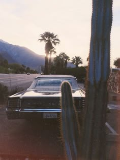 an old car parked next to a cactus in a parking lot with mountains in the background