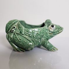 a ceramic frog planter with eyes on it's back sitting on a white surface