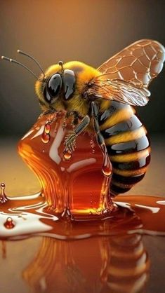 a bee sitting on top of a honey puddle with its head in the air and wings out