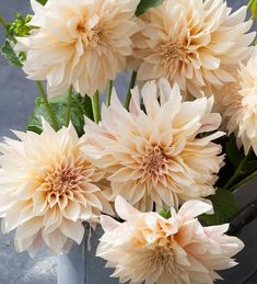 a bunch of flowers that are in a vase