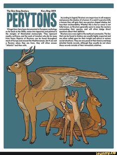 an article about the birds and deers that are on display in this page,