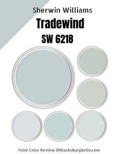 sherylin williams tradewind sw 618 paint color review