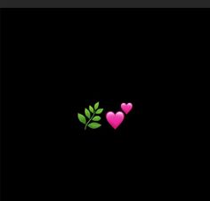 two pink hearts with green leaves on a black background