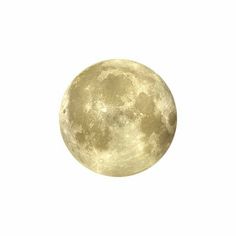 the full moon is shown against a white background