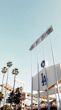 a baseball stadium with palm trees in the background