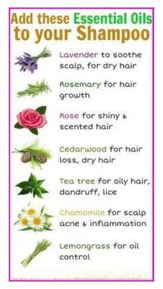 Add these Essential Oils to your shampoo  • Lavender  • Rosemary  • Rose  • Cedarwood  • Tea  • Chamomile  • Lemongrass Rosemary For Hair, Essential Oils For Babies, Hair Tea, Essential Oils Guide, Essential Oils Herbs, Essential Oils Health, Essential Oil Blends Recipes, Living Essentials Oils