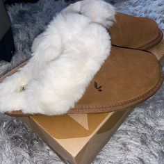 Women’s Milo Slippers Size 5 Brand New, Never Worn Still In Box Comfortable Slippers For Everyday Use, Casual Cream Slippers With Cushioned Footbed, Casual Beige Suede Slippers, Koolaburra By Ugg, Womens Uggs, Ugg Shoes, Slippers, Women Shoes, Brand New