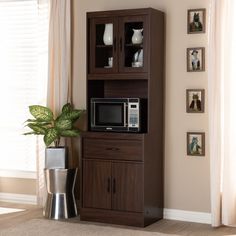 a microwave oven sitting on top of a wooden cabinet next to a potted plant