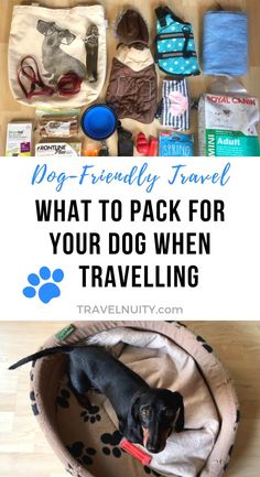 a dog laying in its bed with the words, what to pack for your dog when traveling