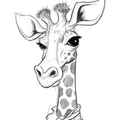 a black and white drawing of a giraffe with a scarf around it's neck