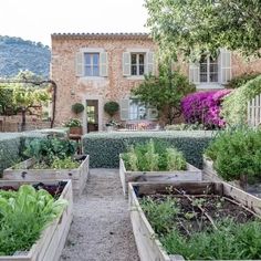 an outdoor garden with many different types of plants