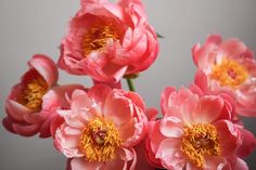 some pink flowers are in a vase on a gray tablecloth with yellow stamens