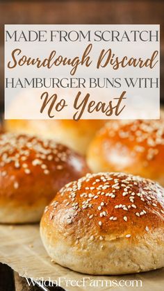 sourdough discard hamburger buns Discard Hamburger Buns, Sourdough Discard Hamburger Buns, Hamburger Bun Recipe, Gluten Free Sourdough