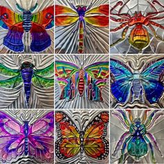 many different colored butterflies are shown in this collage, each with multiple wings and antennaes