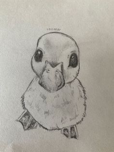 a pencil drawing of an owl with big eyes and a scarf around its neck is shown