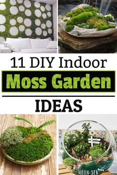 moss garden ideas that are easy to make