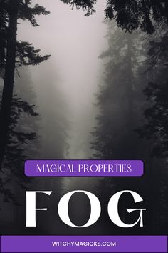 fog in the forest with text reading magic properties fog