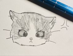 a pencil drawing of a cat's face