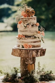 a wedding cake sitting on top of a tree stump