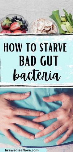 How to Starve Bad Gut Bacteria and Improve Gut Flora - Empty Nest Bliss Gut Healing Foods, Healthy Gut Diet, Healthy Gut Recipes, Improve Your Gut Health, Gut Health Diet, Gut Healing Recipes, Gut Health Recipes, Healing Foods, Healing Recipes