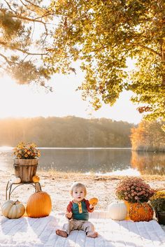 Everything about this fall setup was absolutely perfect. From the overhanging trees to the water in the background, and the pumpkins and mums surrounding the sweetest baby boy. SO cute. Simple Fall Photoshoot Ideas, Fall Mini Sessions Set Up Outdoor, Fall Photo Set Up Ideas, Fall Mini Shoot, Fall Date Night Outfit, Fall Photo Props, Fall Baby Pictures, Mums In Pumpkins, Photography Set Up