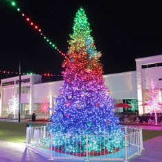 a brightly lit christmas tree in front of a building