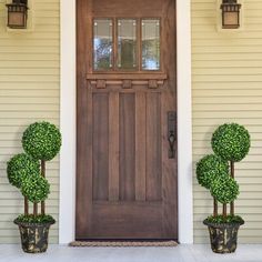 two potted plants are next to the front door