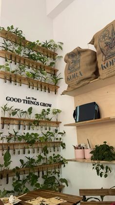 several shelves with plants and seed packets on them