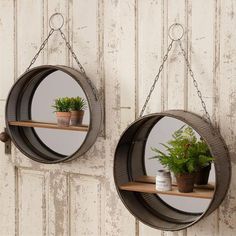 two circular mirrors hanging on the wall with plants in them and one is holding a potted plant