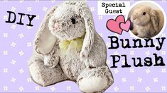 a stuffed bunny is sitting in front of a purple background