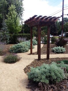 an outdoor area with various plants and trees