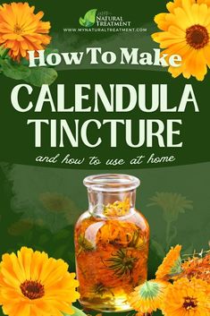 the cover of how to make calendula tincture and how to use it