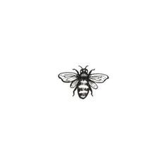 a black and white drawing of a bee