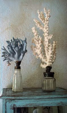 two vases with seaweed are sitting on a shelf in front of a wall