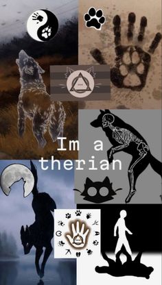 a collage of pictures with different animals and symbols